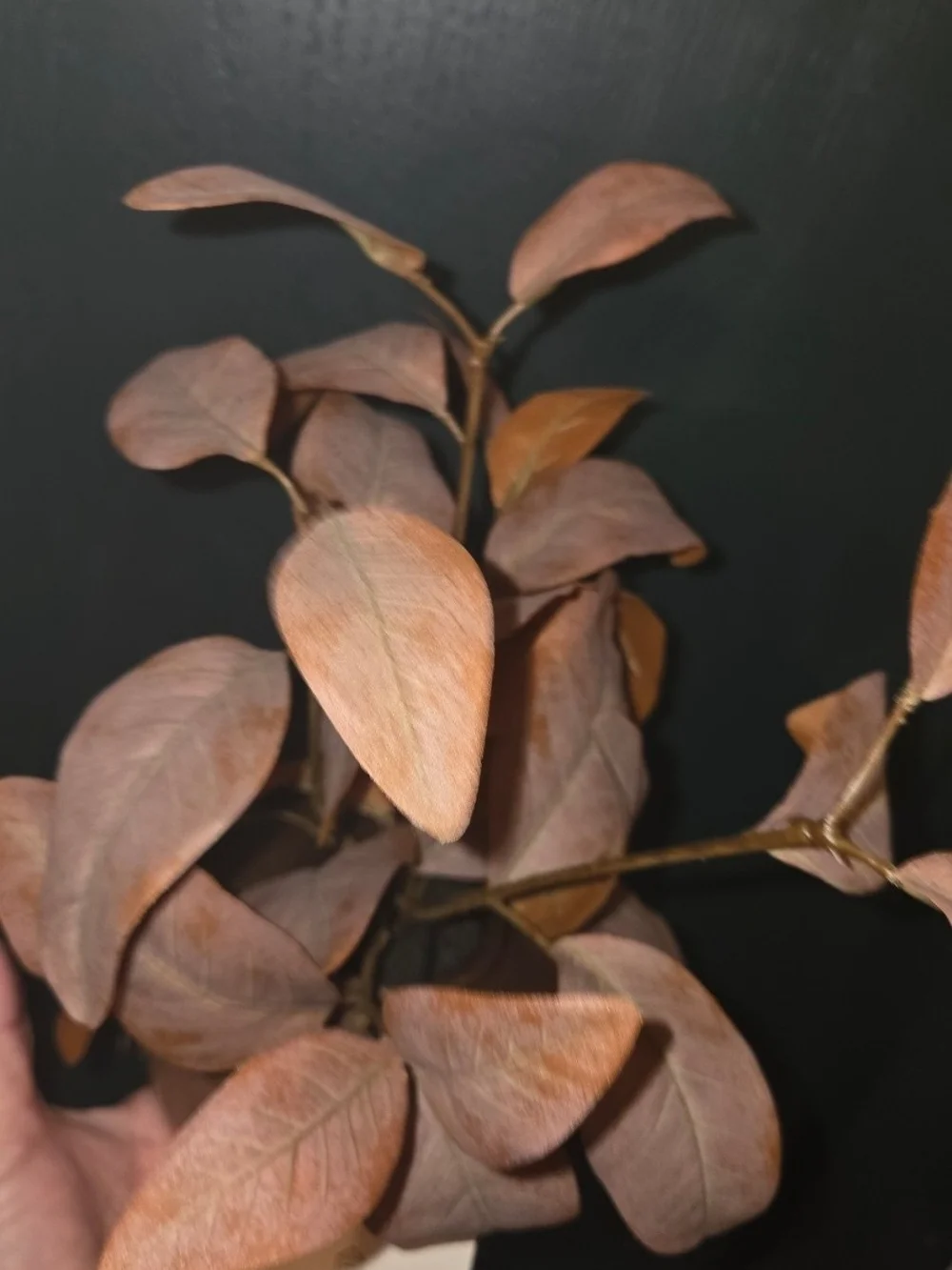Hearth & Hand with Magnolia- 11